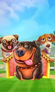 The Dog House